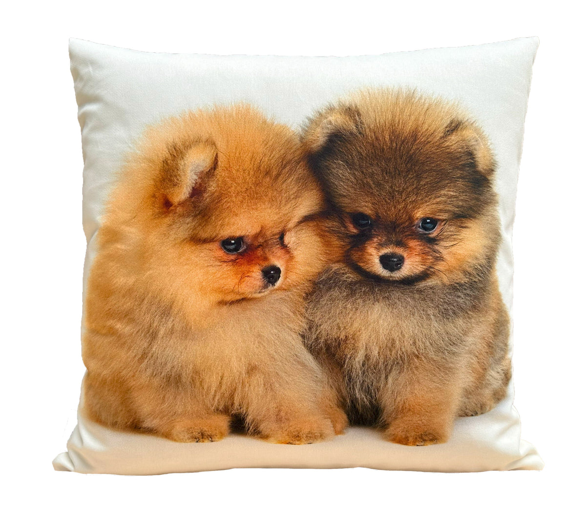 Coussin décoratif Ani 1