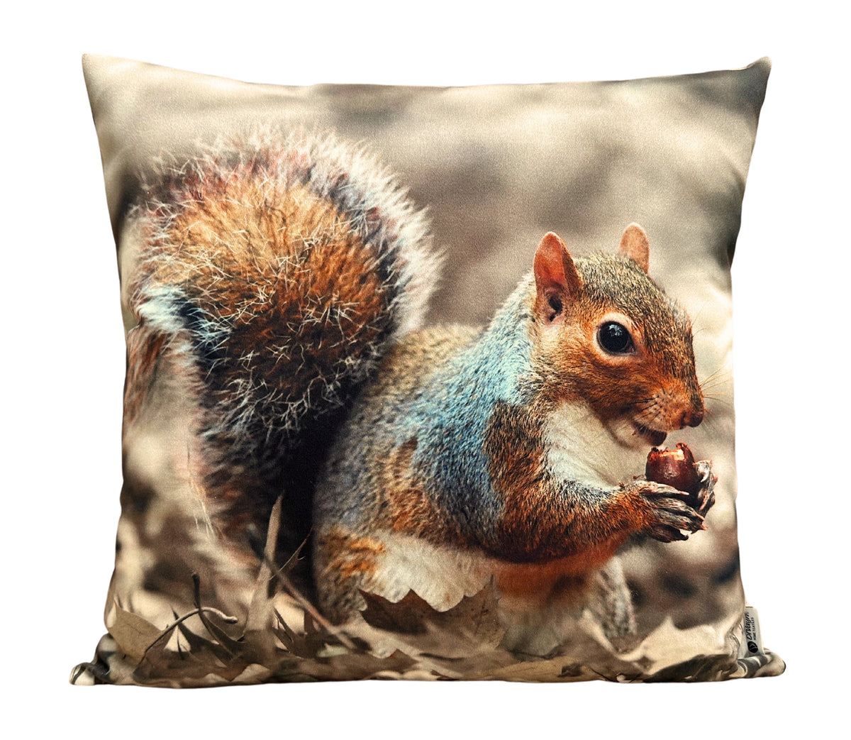 Coussin décoratif Ani 10