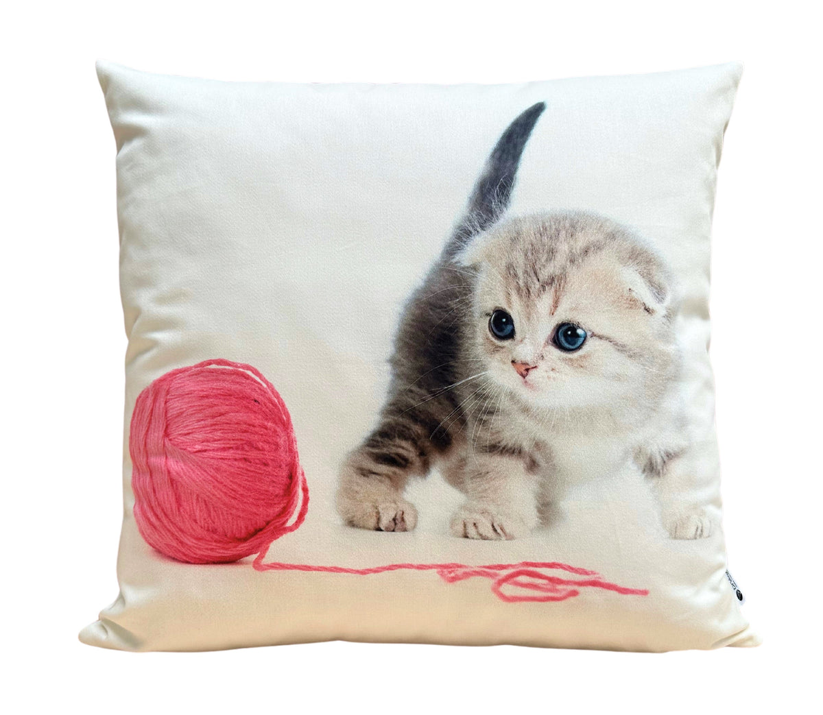 Coussin décoratif Ani 15