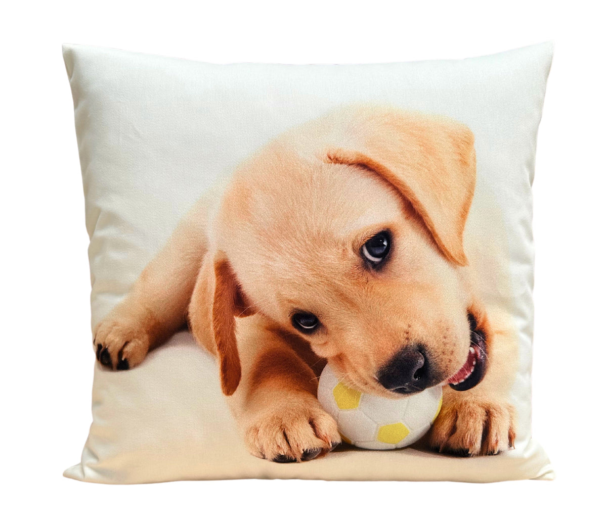Coussin décoratif Ani 5