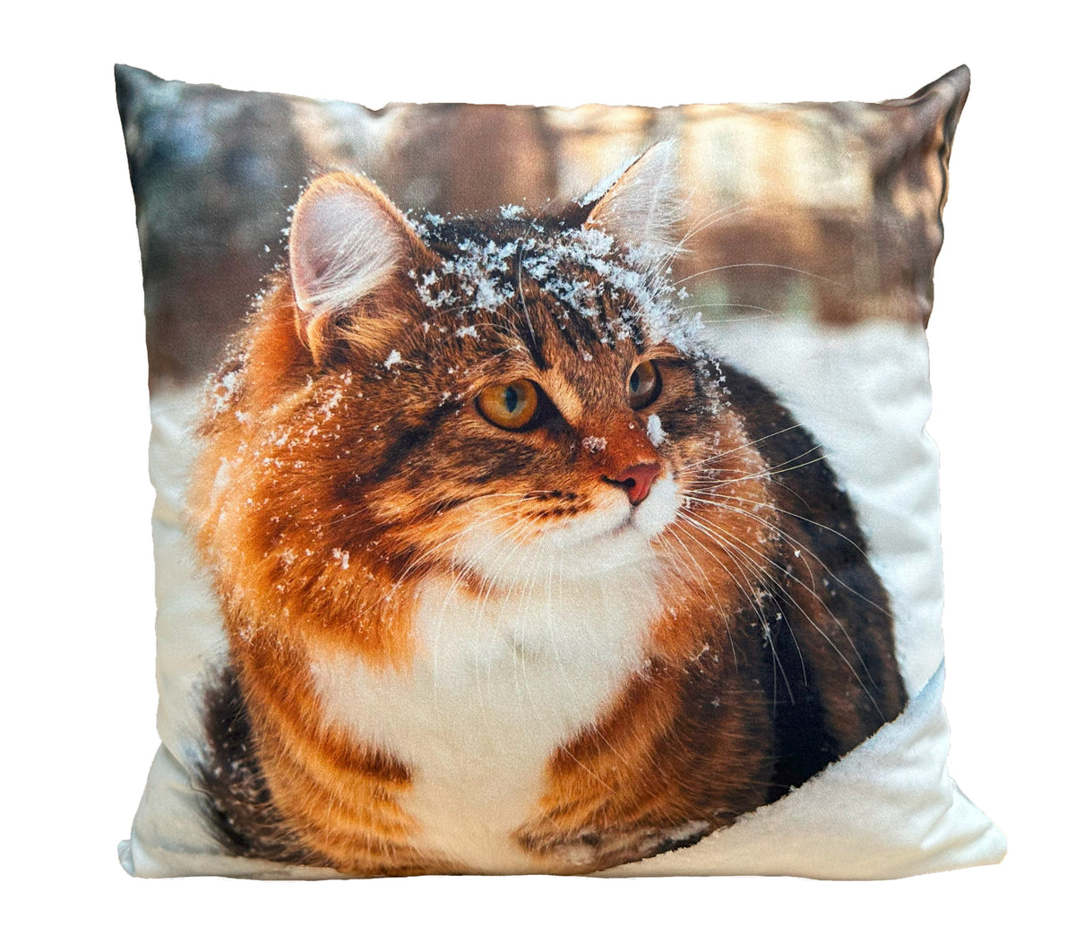 Coussin décoratif Ani 9