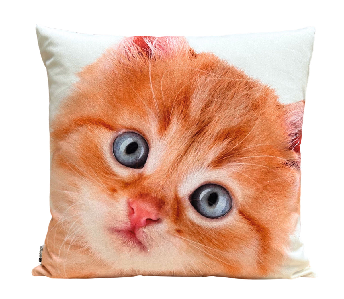 Coussin décoratif Ani 12
