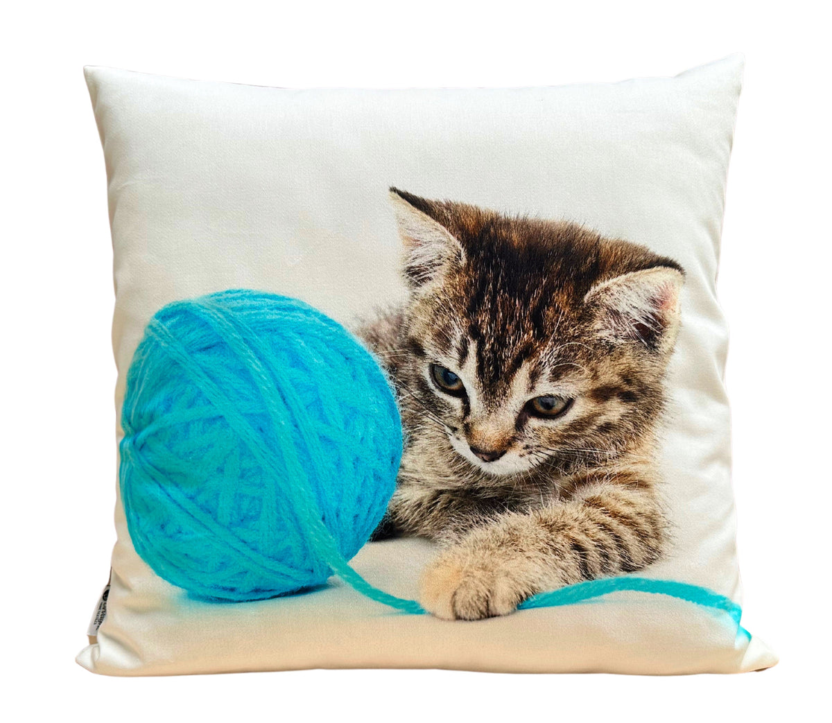 Coussin décoratif Ani 13
