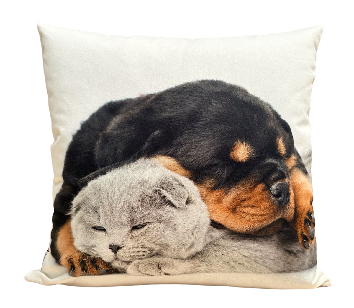 Coussin décoratif Ani 2