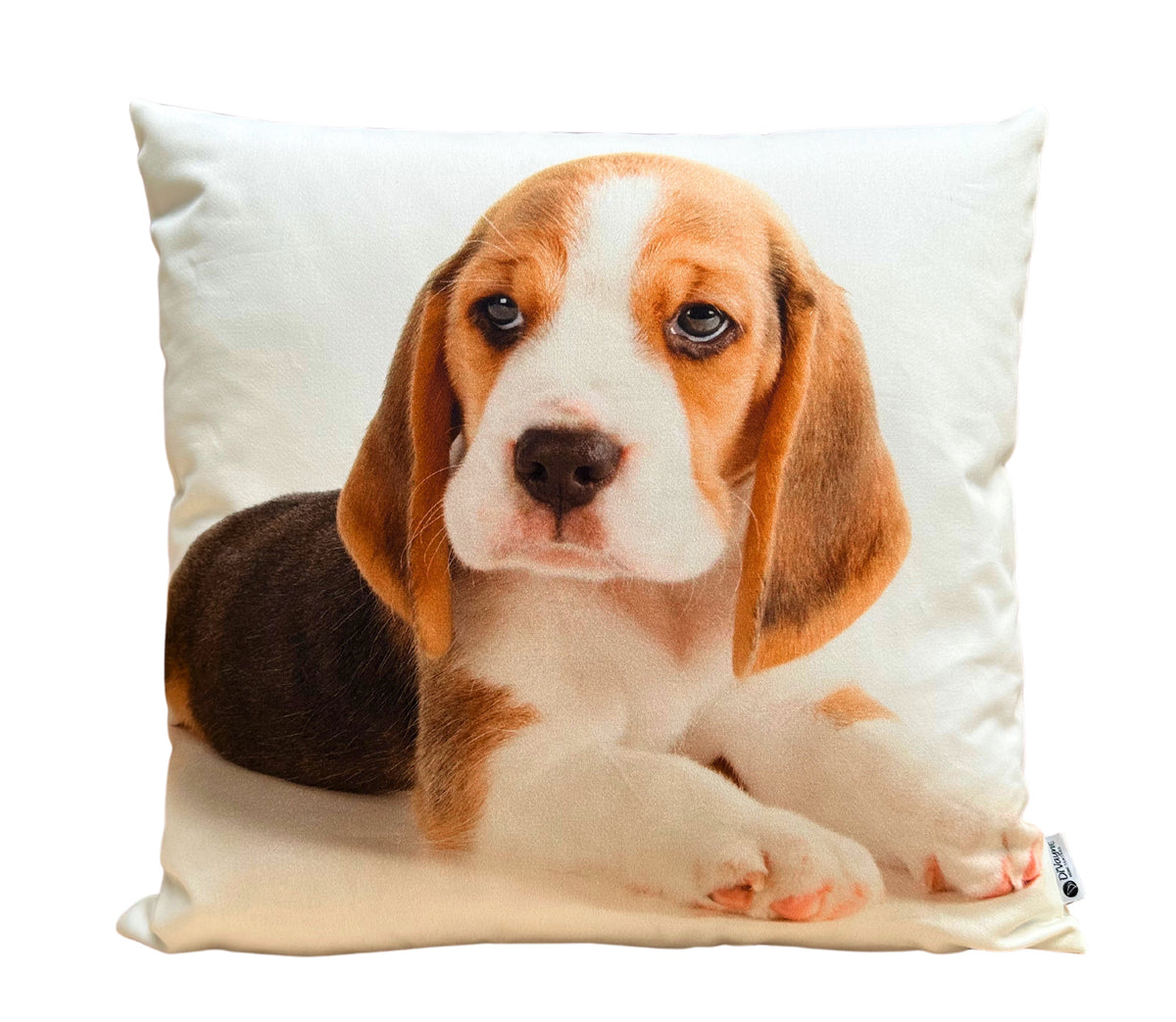 Coussin décoratif Ani 3