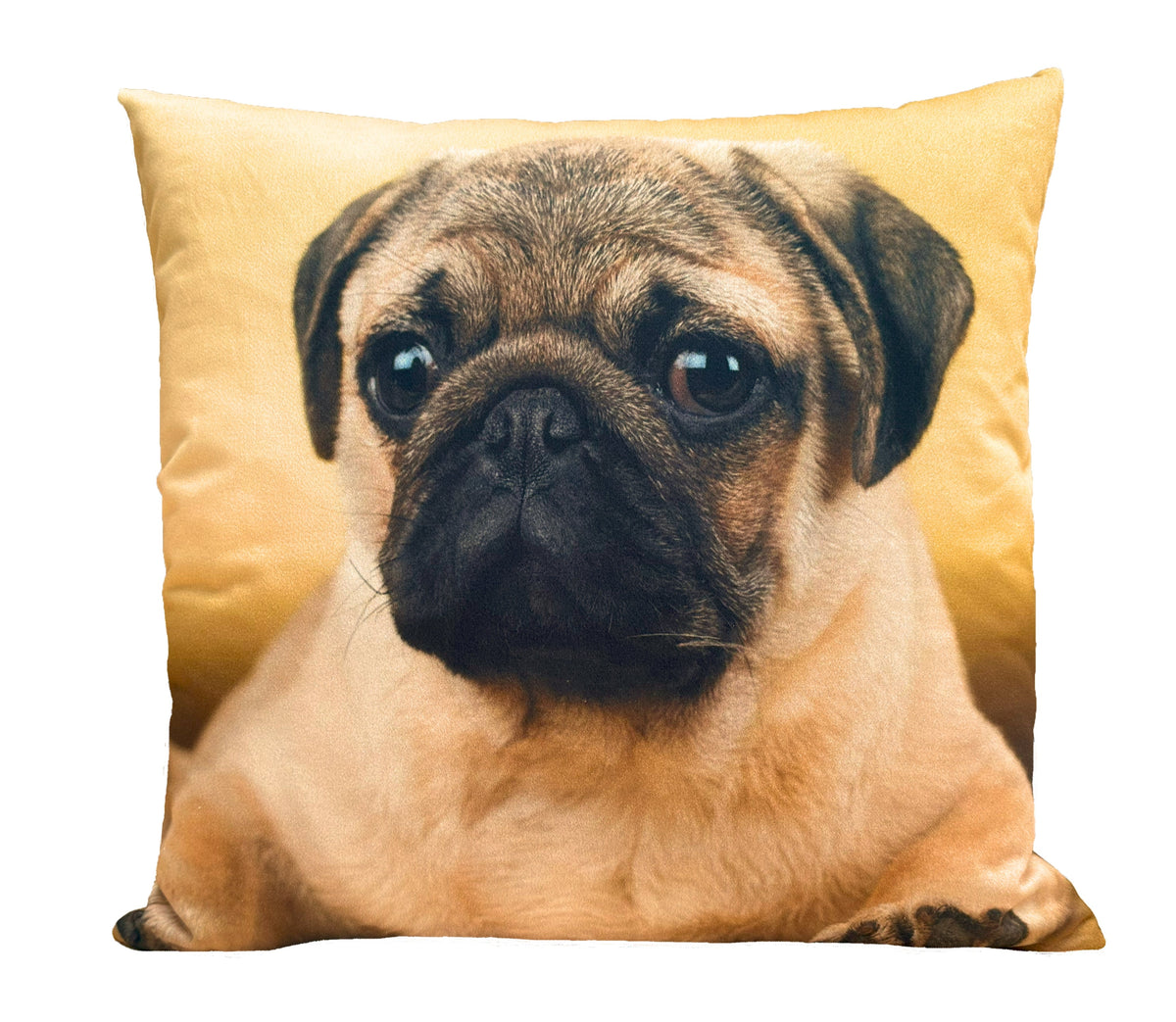 Coussin décoratif Ani 4