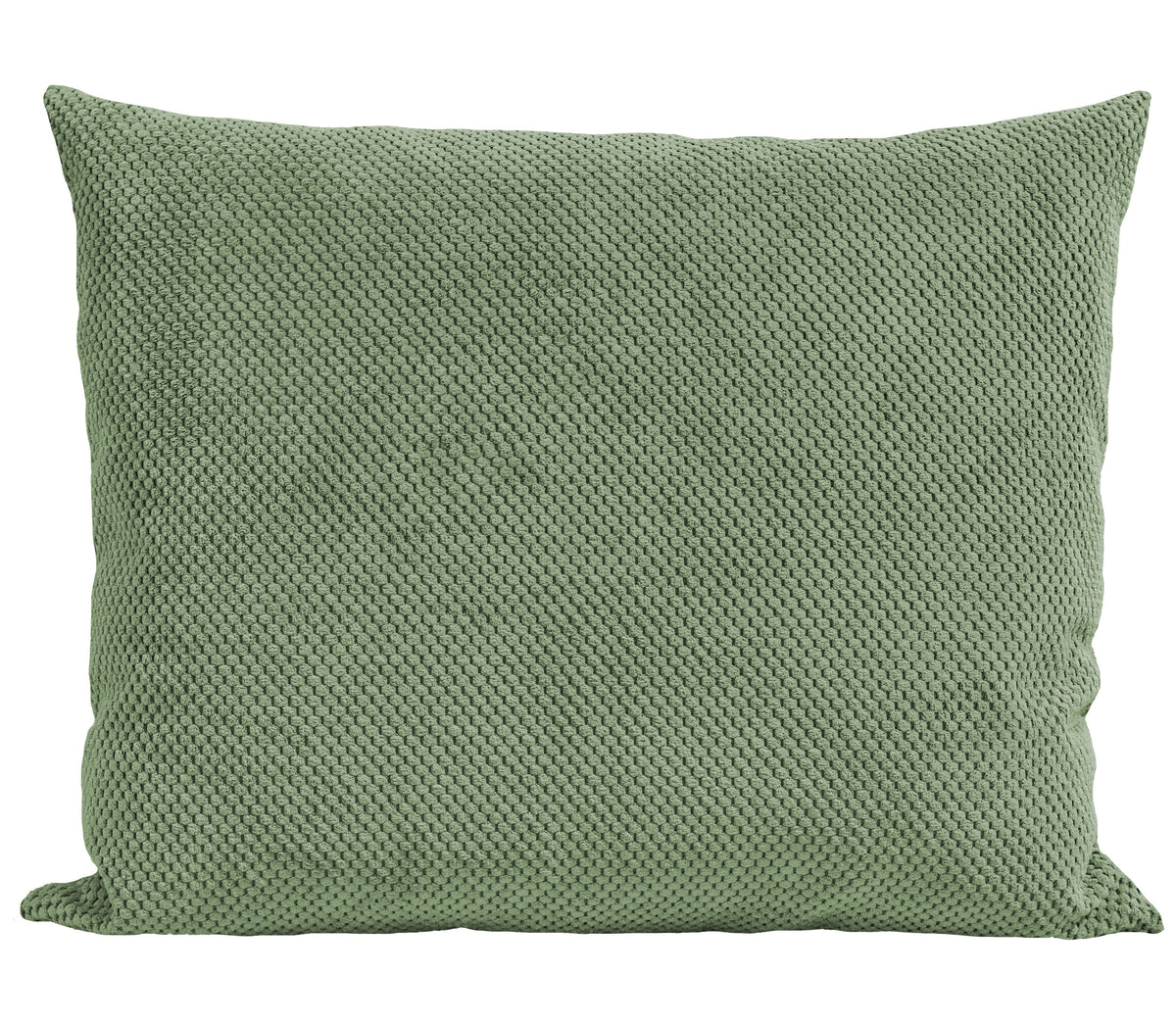 Grand Coussin Narna Vert (55x70 cm)